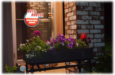 Our shop photo