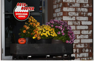 Our shop photo